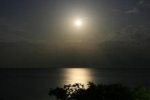 Southern Night / ***