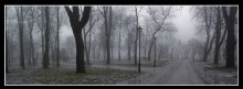 Winter Nebel ich / ***