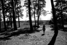 forestwalk / pic:me