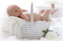 In den Warenkorb / ***