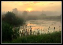 Foggy Sonnenaufgang. / ***