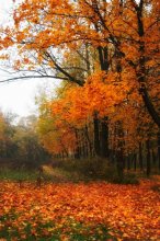 Herbst / ***