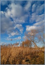 Unter dem blauen Himmel ... / ------------