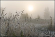 Frosty Morgen. / ***