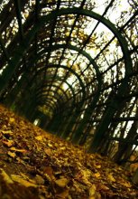 Herbst / ------
