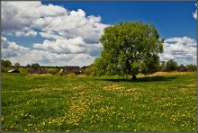 Der erste Tag des Sommers. / ***