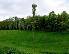 Und ein Soldat auf dem Gebiet ... / ***