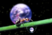 Welt in einem Tropfen Wasser / ***
