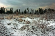 Der Winter kam unerwartet, plötzlich ... / ***