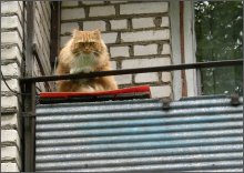 &quot;Halt, wer da?&quot; / ***