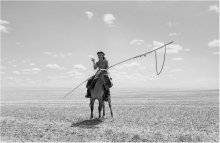 MONGOLEI. RIDER. / ***