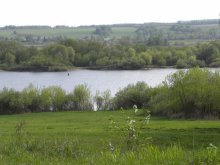 Oka Beach / ***