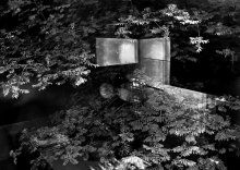 Sommer / ***