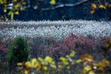 Herbst in der High Point State Park / Fall in high Point State park, NJ