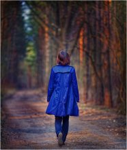 Homeward Bound / *******