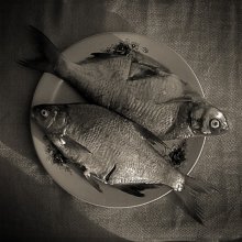 Die Fische und Geometrie / ***