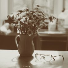 Stillleben mit Gänseblümchen / ***