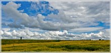 Auf der Straße mit Wolken. / ***