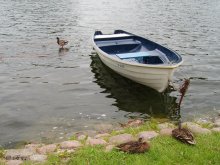Auf dem Wasser ... / ***