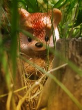 Zaplutavshy im Gras / ***