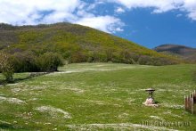 Krim-Landschaft / ***