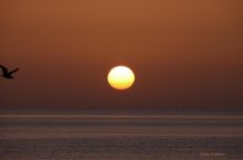 Im Morgengrauen / ***