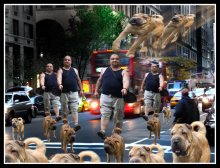 5-Region: Nieder mit Homosexuell - geben Sharpeyschen! / ***