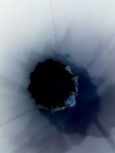 Licht und lnik / ***