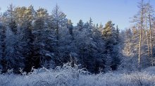 &quot;Leiden, ist Menschen Winter kommt ...&quot; / ***