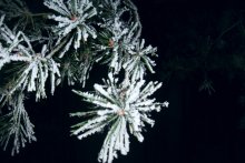 Winter / ***