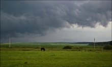 Auf dem Pferd .. / ***