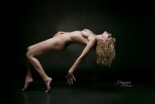 Orgasmus ... / http://www.photographstudio.ru/
