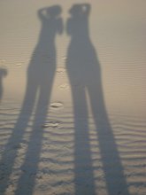 Wo sind unsere Besitzer ... / ***