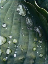 drops.drops / ***
