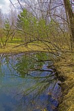 Springflut / ***