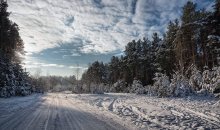 Der Weg zu einem Winter-Wunderland / ***