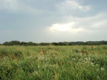 Vor dem Sturm / ***