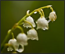 Nach der regen ... / ***