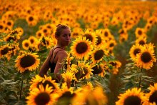 Unter solnechnost1 / ***