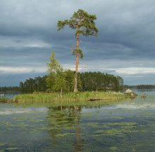 Karelischen Landschaft / ***