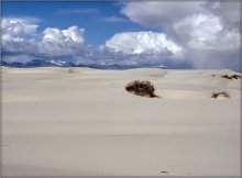 White Sands ..4 / ***