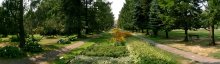 Im botanischen Garten / ***