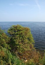 Ladoga / ***