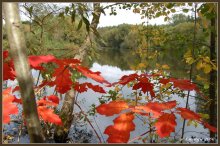 Herbst. Rote Partisanen. / ***