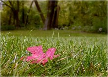 von morgen Herbst vor der Tür .. / ***