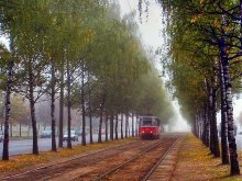 Herbst Straßenbahn / ***