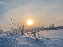 Zimovaya Morning / ***