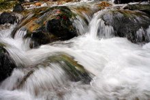 Sie kamen zusammen, Wasser und Stein ... / ***