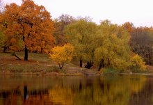 Herbstfarben / ***