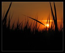 Classic Sonnenuntergang / ***